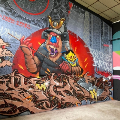 Graffiti – Mandrill Samoura&iuml; – MISTER D &agrave; L&rsquo;A&eacute;rochrome – Blagnac